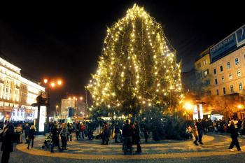 Christmas Markets Bratislava main Slovak Christmas tree